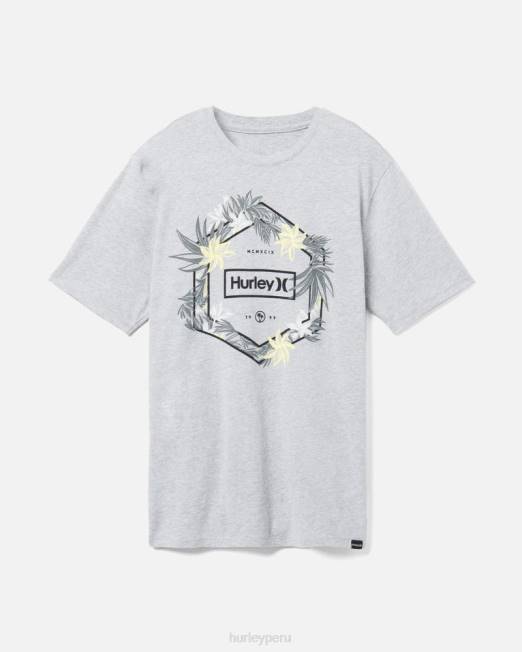 hombres Hurley brezo gris oscuro camiseta de jungla de todos los días ropa 8L2D285