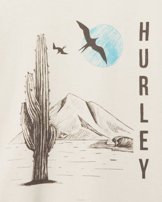 hombres Hurley hueso todos los días explora la hora del almuerzo soñando con la camiseta ropa 8L2D312