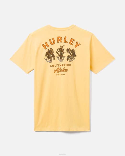 hombres Hurley salsa btr camiseta de cultivo diario ropa 8L2D304